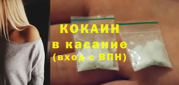 прущие грибы Усолье-Сибирское