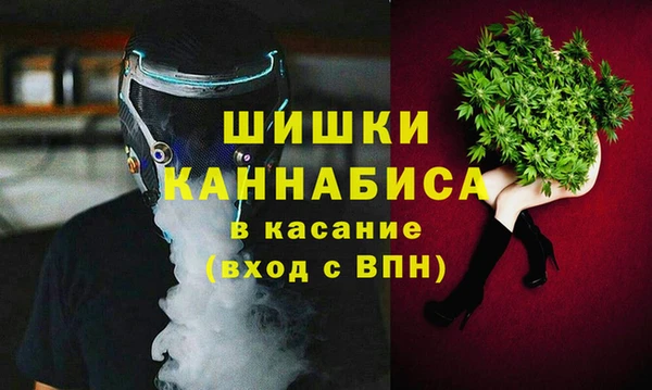 спайс Ельня