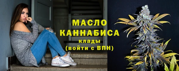 мет Елабуга