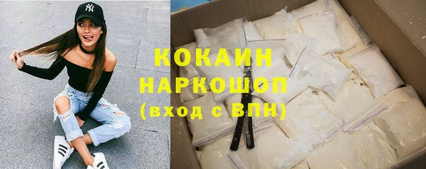 сатива Елизово