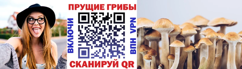 Галлюциногенные грибы мухоморы Калачинск